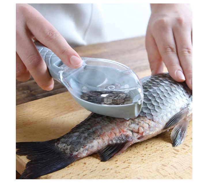 Ecailleur de possion 🐟